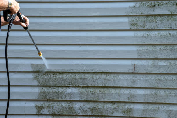Best Siding Removal and Disposal  in Port Republic, NJ