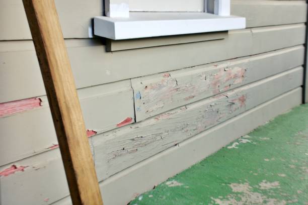 Best Brick Veneer Siding  in Port Republic, NJ